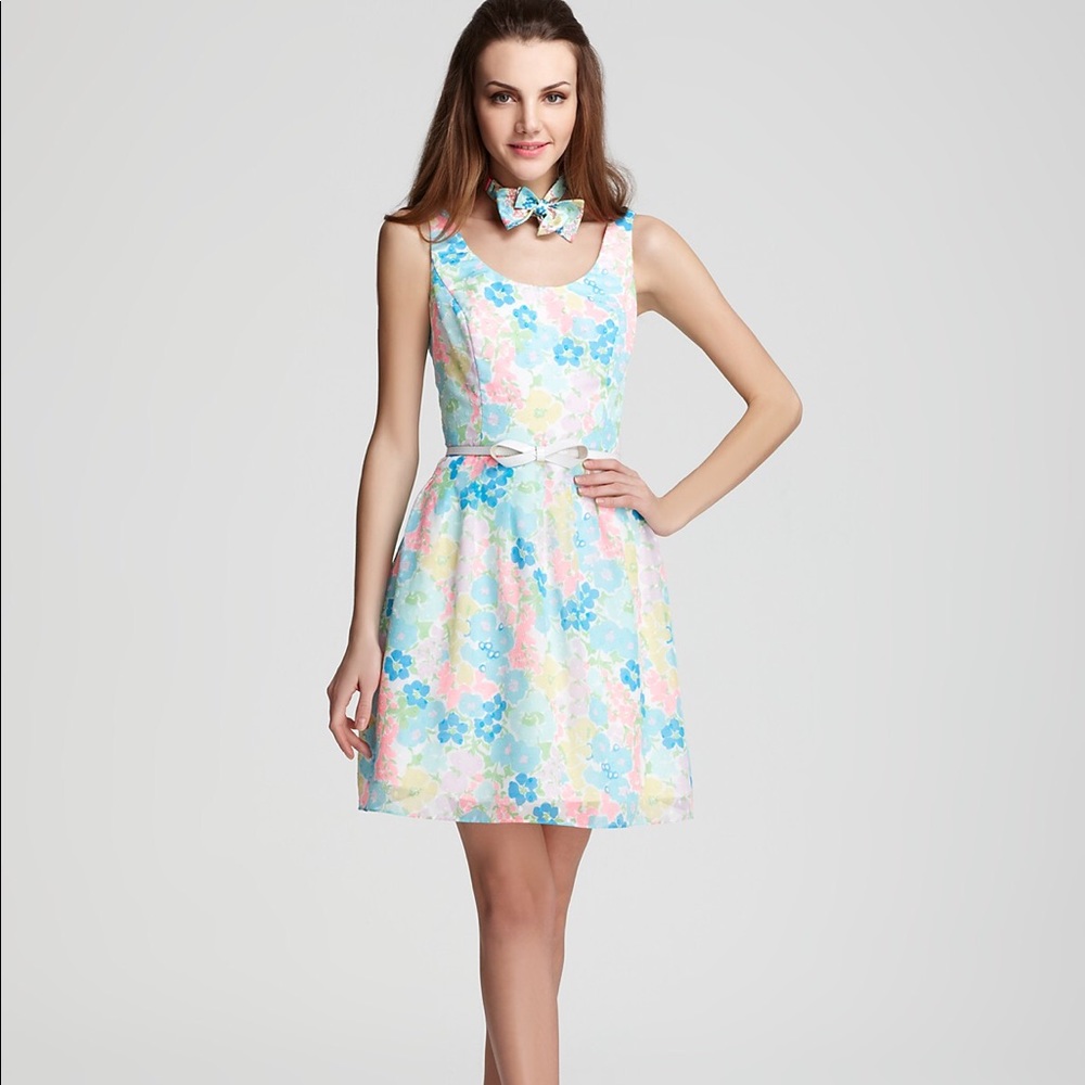 Lilly Pulitzer Posey Dress